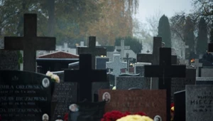 Krakowski Zarząd Cmentarzy Komunalnych ogłosił na licytację na miejsca pod budowę grobów murowanych