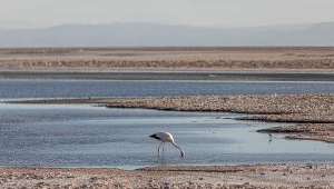 Chcą wydobywać ekologiczny skarb. Jest ryzyko, że zabraknie wody