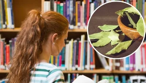 Masz w domu dużo książek? Koniecznie rozłóż na półkach te liście. Ochronią cię przed sporym problemem