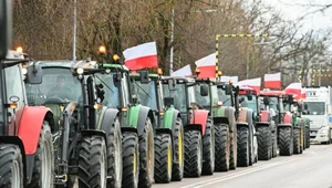 Trudna sytuacja rolników w Polsce. "Problemem nie jest Zielony Ład"