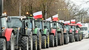 W Polsce i innych krajach Unii Europejskiej odbywają się protesty rolników