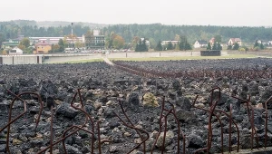 Widok na wieś Bełżec