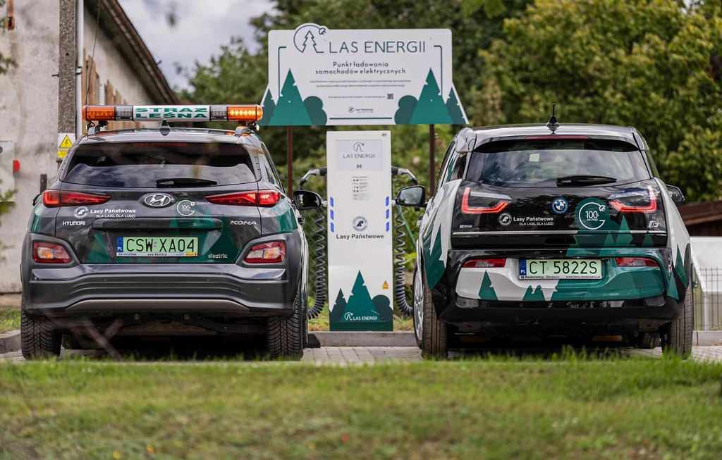 Lasy Państwowe chcą postawić w tym roku 100 ładowarek dla samochodów elektrycznych