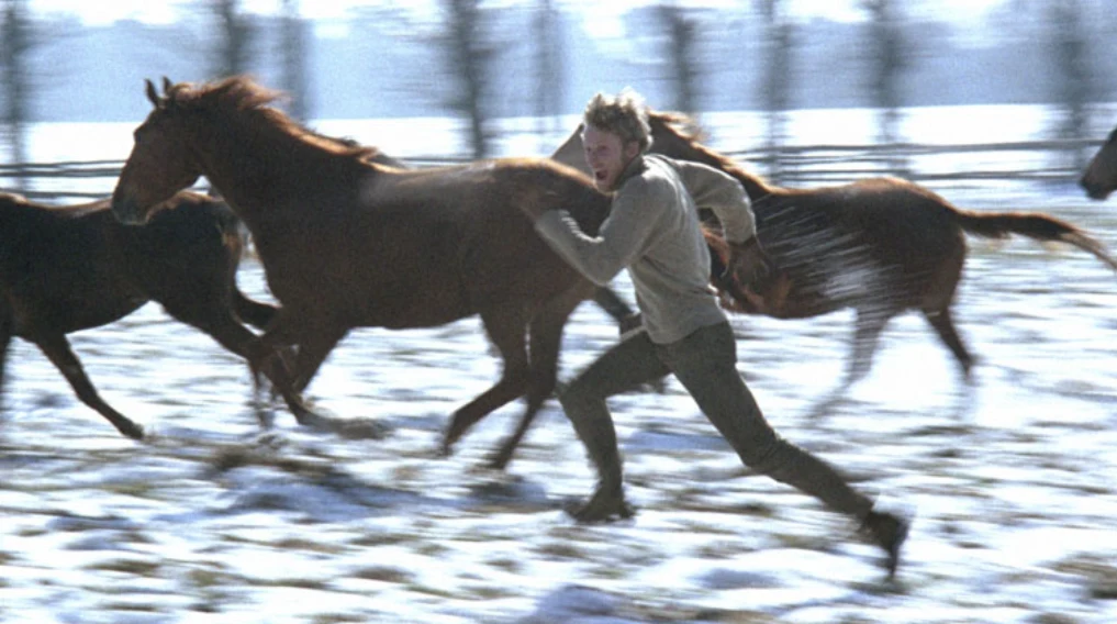 Daniel Olbrychski w filmie "Wszystko na sprzedaż"