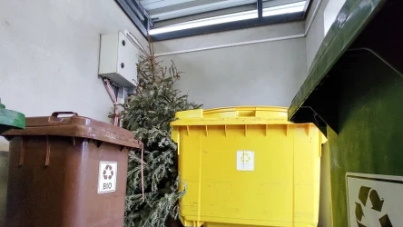 ​Ruszają kontrole śmietników. Mogą się posypać mandaty