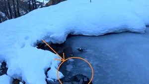 fragment transmisji na Twitchu @Papaplatte