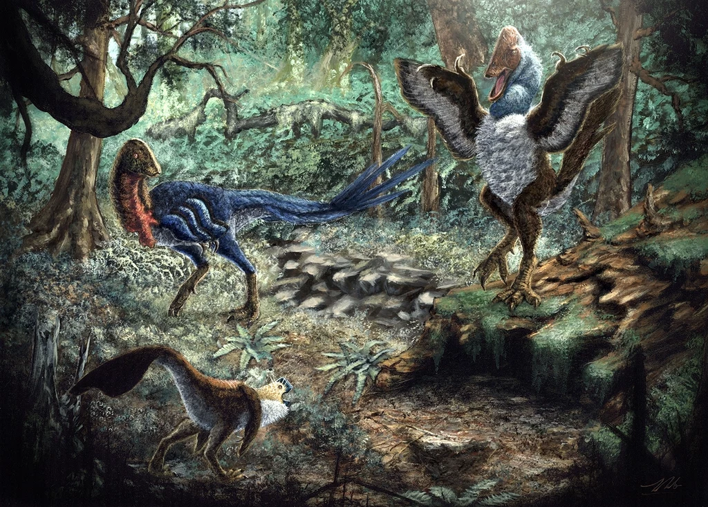 Rekonstrukcja Eoneophron infernalis - owiraptora z Dakoty Południowej. Widać go z lewej. Z prawej - dinozaur Anzu