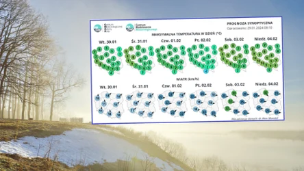Z prognoz IMGW wynika, że będzie to ciepły tydzień: temperatury sięgną nawet 10 st. C. Nad morzem pojawi się też silny wiatr, osiągający w porywach nawet 95 km/h