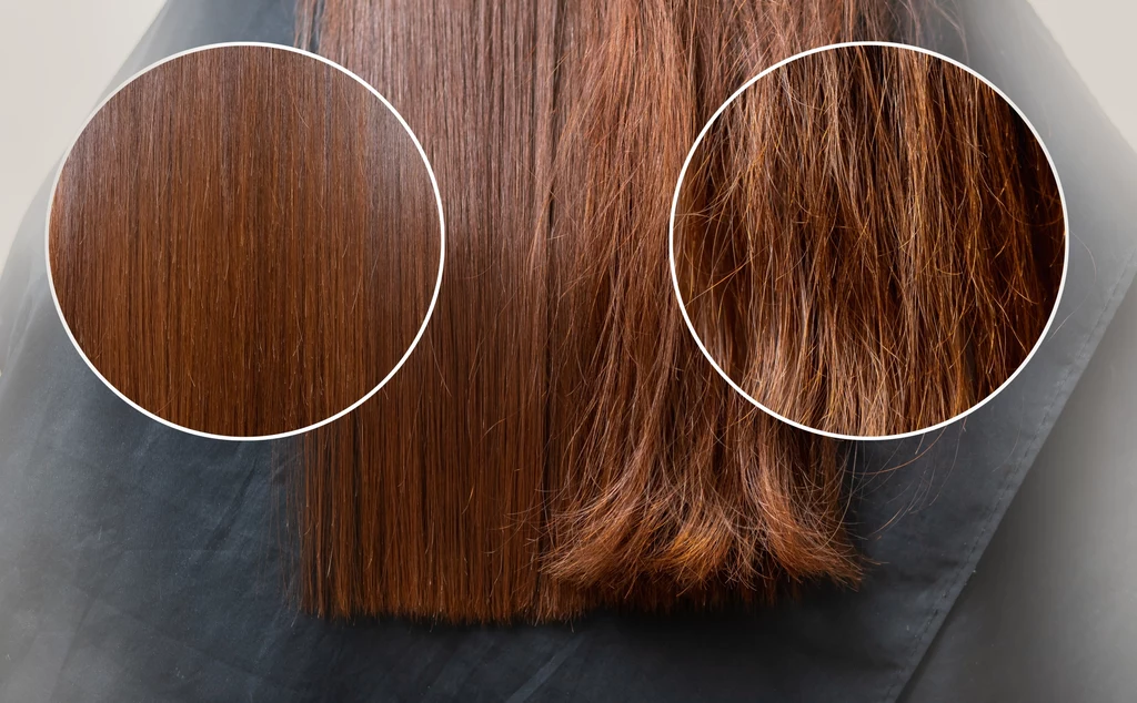 Jakie są domowe sposoby na zniszczone włosy?