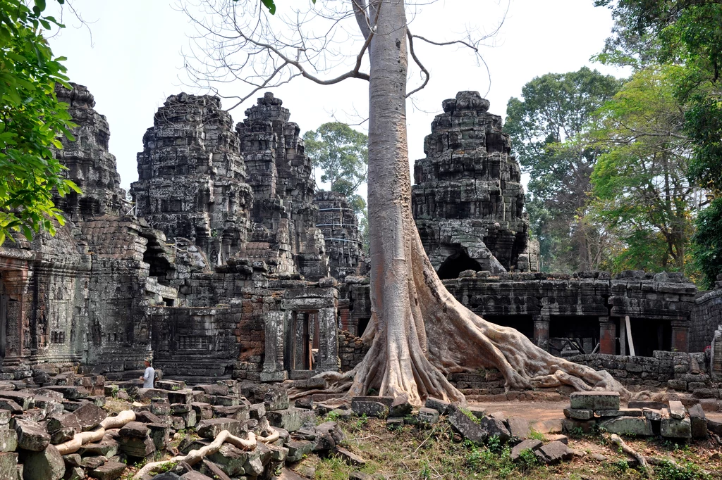 Świątynia Angkor Wat to ogromne przestrzenie. Turyści korzystali z podwózki słoni