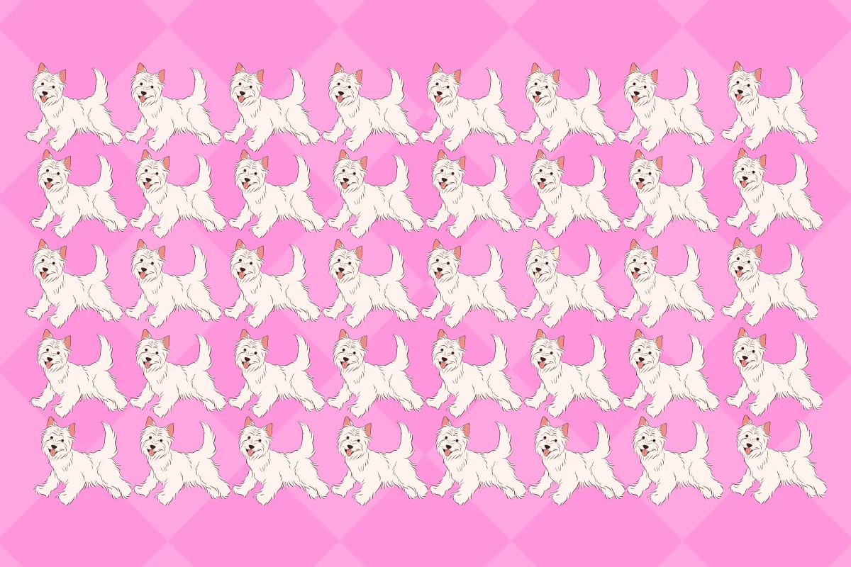 Test na spostrzegawczość