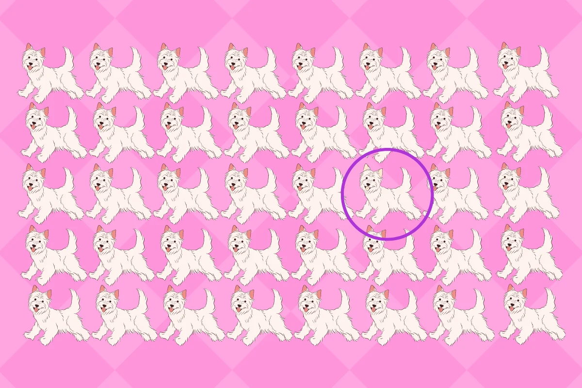 Prawidłowe rozwiązanie