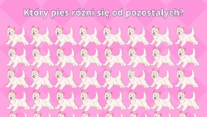 Test na spostrzegawczość: Tylko osoby o błyskotliwym spojrzeniu znają rozwiązanie