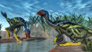 Pióra dinozaurów miały inne zastosowanie, niż myśleliśmy. Pomógł robot