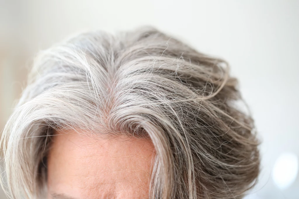 Genialne płukanki na siwe włosy zrobisz samodzielnie w domu. 
