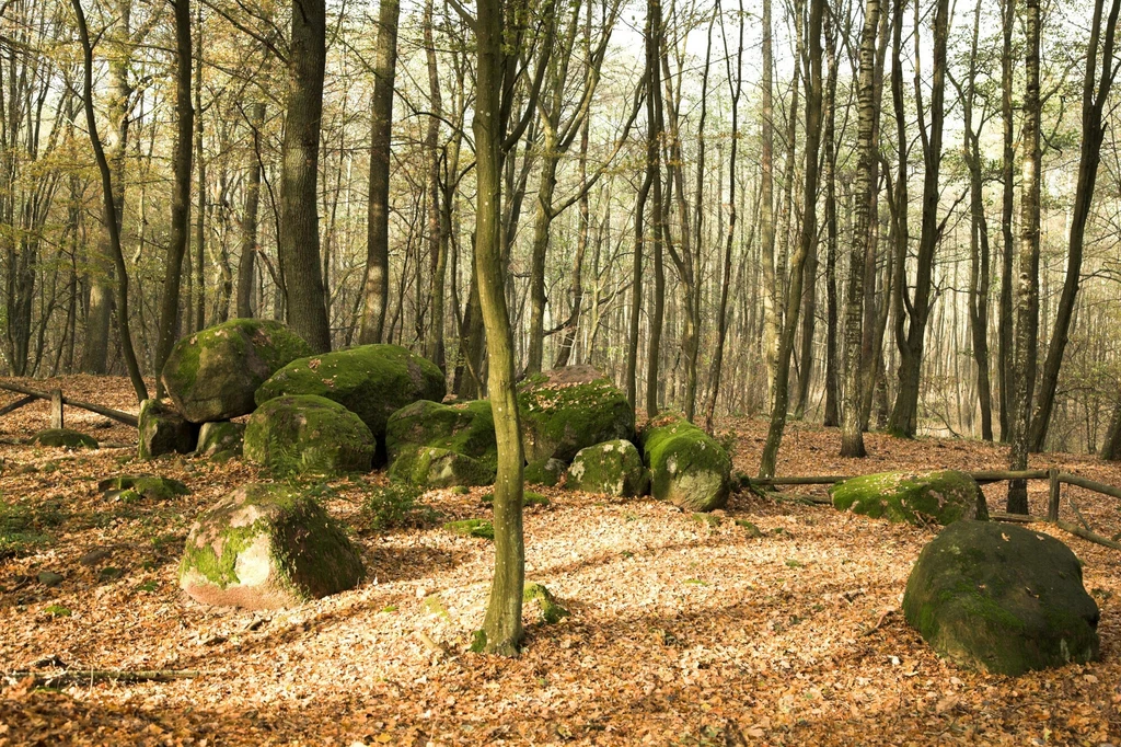 Dolmen w Borkowie