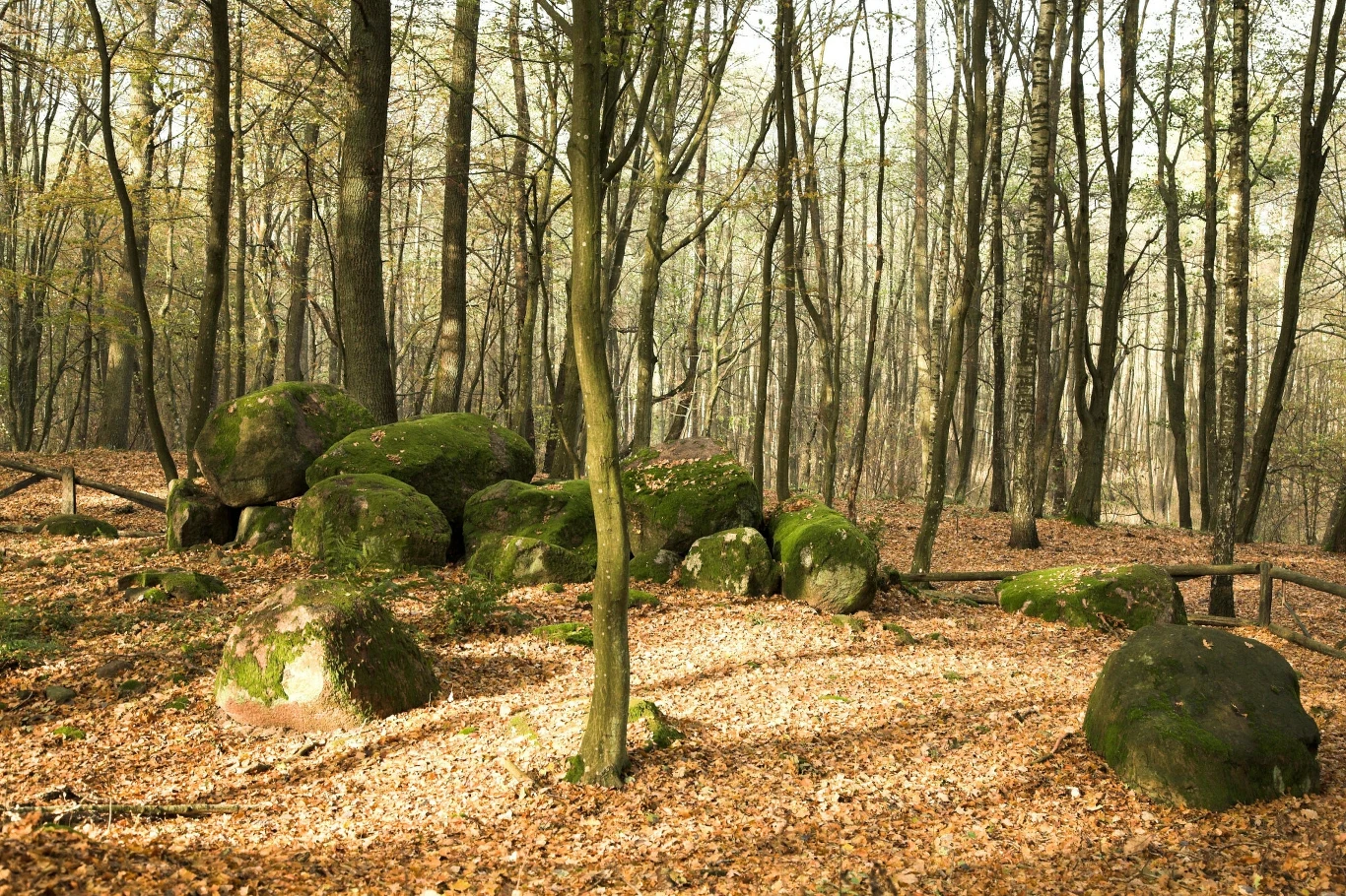 Dolmen w Borkowie Dolmen w Borkowie