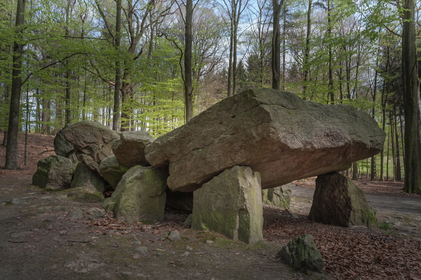 Dolmen w pobliżu Osnabrück, Niemcy Dolmen w pobliżu Osnabrück, Niemcy