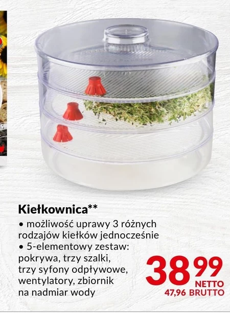 Kiełkownica Netto