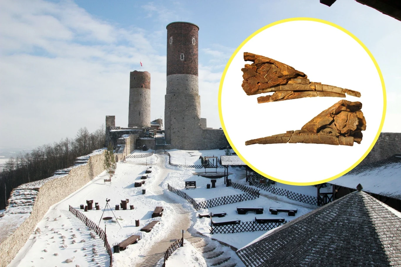 Szczątki wyjątkowego gatunku Alienacanthus malkowskii zostały odkryte w Chęcinach Szczątki wyjątkowego gatunku Alienacanthus malkowskii zostały odkryte w Chęcinach