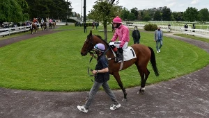 Poważny wypadek reprezentanta Polski. Nieprzytomny trafił do szpitala