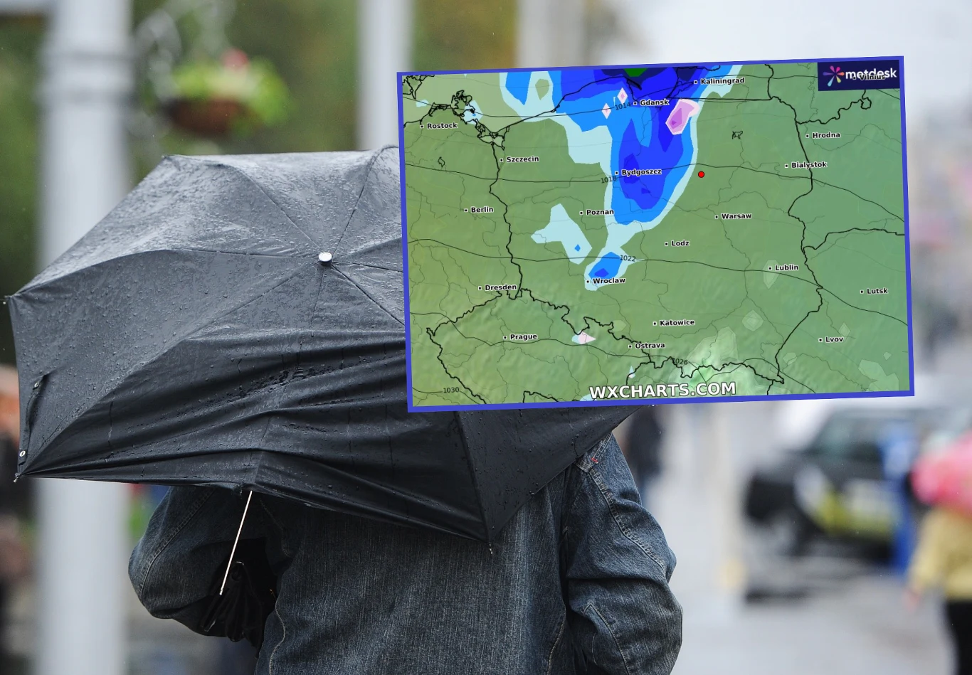 We wtorek pojawią się deszcze i silny wiatr. Wydano alerty IMGW pierwszego i drugiego stopnia dla dwóch województw We wtorek pojawią się deszcze i silny wiatr. Wydano alerty IMGW pierwszego i drugiego stopnia dla dwóch województw