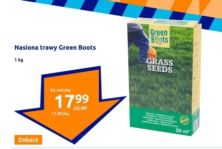 Nasiona trawy Green Boots