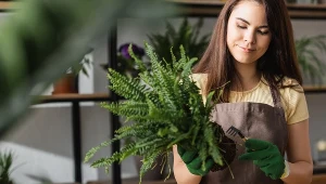 Zbliża się czas na wykonanie tego zabiegu. Rośliny doniczkowe zyskają nową moc