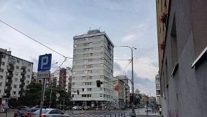 Trzonoliniowiec we Wrocławiu