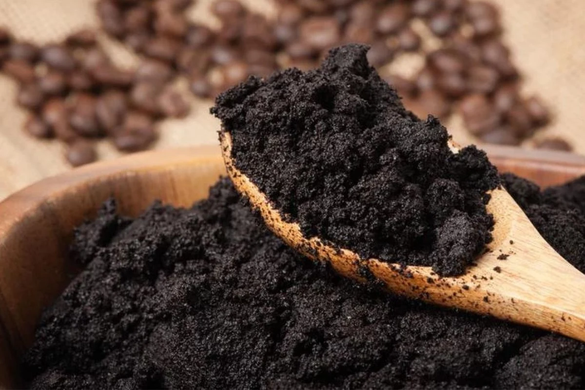 Fusy po kawie odstraszą komary Fusy po kawie odstraszą komary