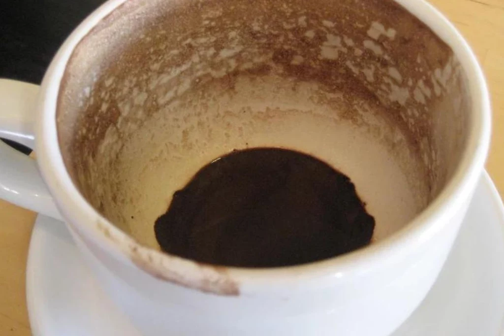 Fusy z kawy to idealna, naturalna odżywka do borówki amerykańskiej