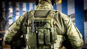 Gangi z jednego regionu rozgościły się w Polsce. Alarmujący wzrost