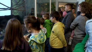 Dzieci przygotowały posiłki dla małp w zoo