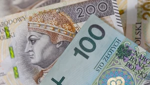 6300 zł co miesiąc na I roku studiów. System już stał się polem nadużyć