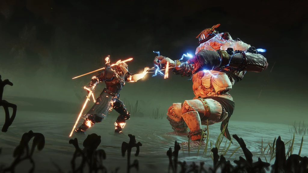 Wiedźmin w Destiny 2
