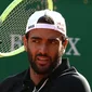 Matteo Berrettini