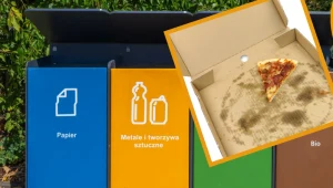 Każdy myśli, że wie, gdzie wyrzucić karton po pizzy. Większość osób robi to źle