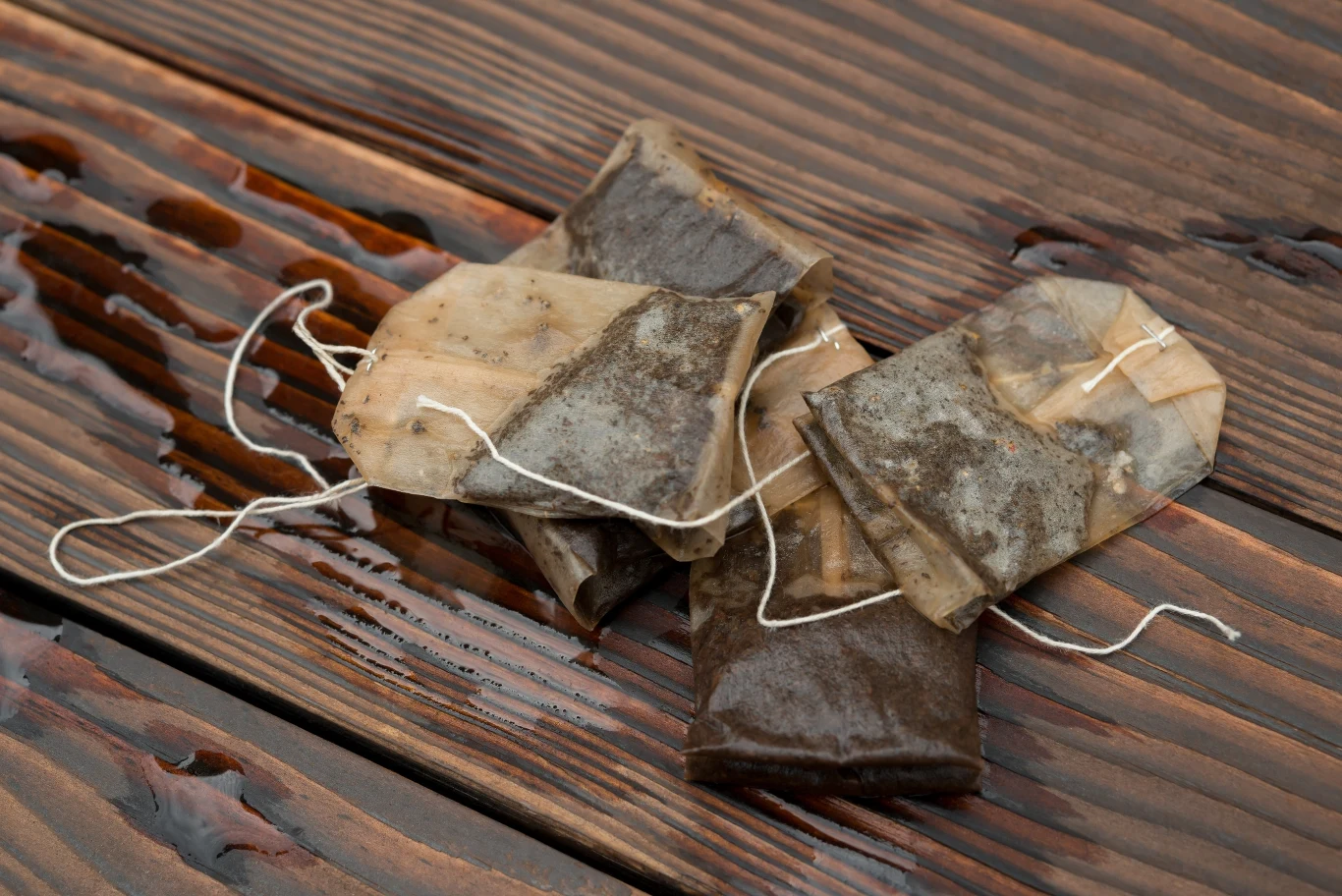 Zużyte torebki po herbacie świetnie sprawdzą się w domu, jak i w ogrodzie. Od dzisiaj nie wyrzucaj ich do kosza, tylko ponownie wykorzystaj. 