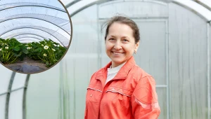 Chcesz kupić tunel foliowy do uprawy warzyw? Na to powinieneś zwrócić uwagę