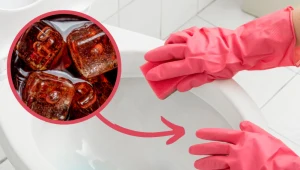 Muszla toalety będzie czysta, jak nigdy wcześniej. Wystarczy, że umyjesz ją tym 