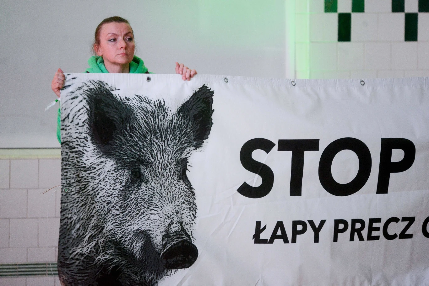 Protesty w sprawie dzików przeszły do historii 