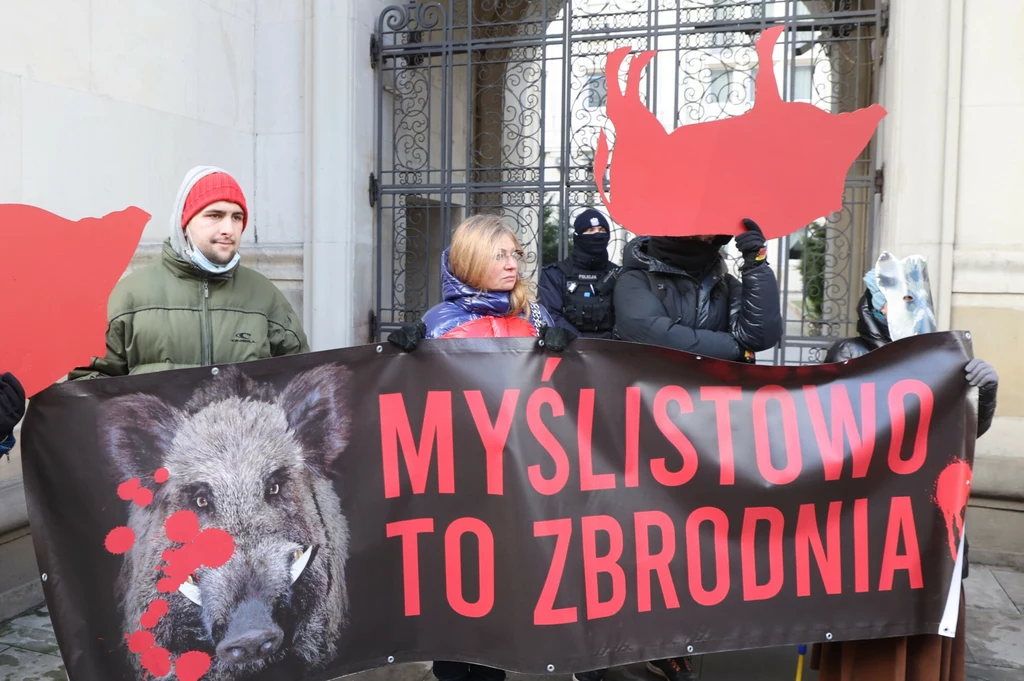 W ciągu ostatnich lat w Polsce zabito kilkaset tysięcy dzików
