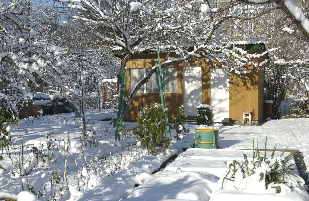 Ogród zimą. Kalendarz ogrodnika w lutym obfituje w wiele ważnych zadań