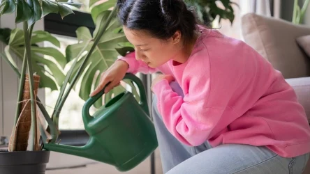 Jak zadbać o rośliny doniczkowe zimą? Biohumus stanowi dobre, a przede wszystkim bezpieczne rozwiązanie.