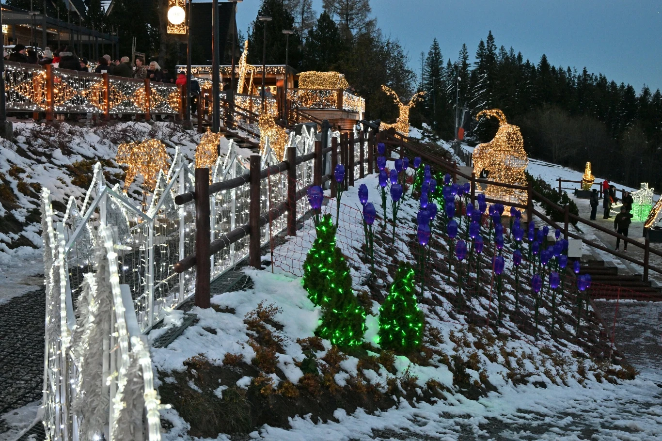 Kraina Światła na Gubałówce to zimowa atrakcja, którą zdecydowanie warto odwiedzić. 