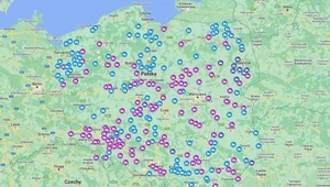 Strajk rolników. Na tej mapie sprawdzisz, gdzie są utrudnienia