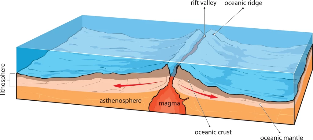 Schemat rozrastania się płyt tektonicznych