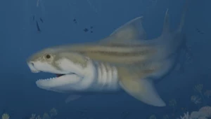 Przedziwne rekiny odkryte w jaskini w USA. Miały zęby jak nóż z widelcem