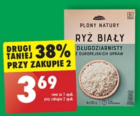 Ryż