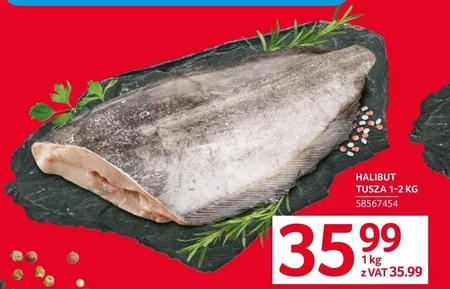 Halibut
